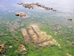 Acre Templar Ruins