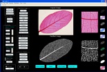 LEAF GUI