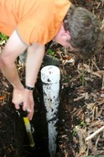 Researchers say plants are reacting to different levels of carbon dioxide.