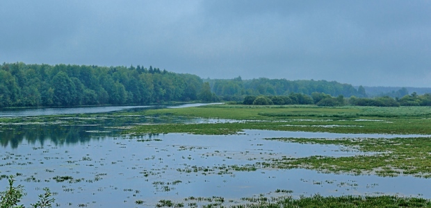 A contract has been awarded by the South Florida Water Management District for construction to begin on a new water quality restoration project in the Everglades.