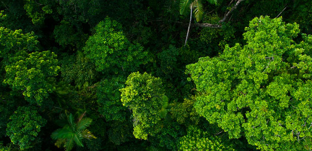 HP Inc Unveils Carbon Neutral Printer at Sustainable Impact Summit