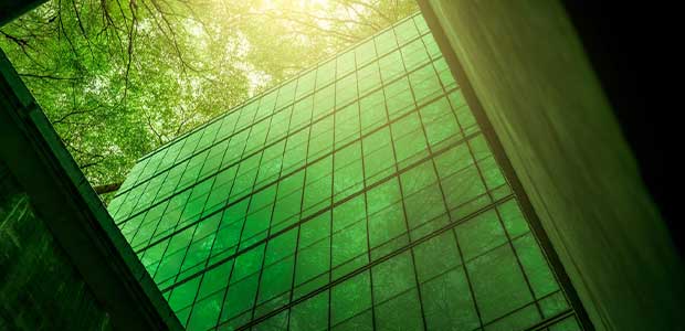 How to Go Green: Six Easy Tips for Making Eco-Friendly Changes to Improve the Environment