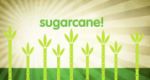 Sugarcane