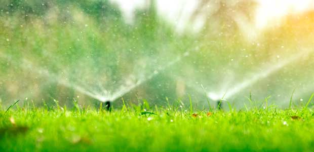An Introduction to Global Water Wastage