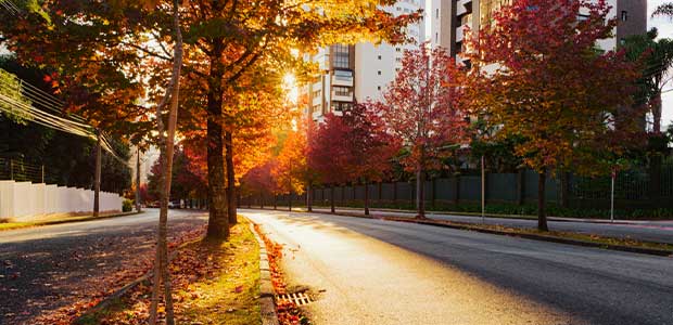 November 2022 Ranks Ninth-Warmest, Autumn 2022 Fifth Warmest on Earth in 143 Years