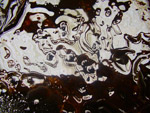 oil spill