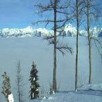 snowy day in Montana